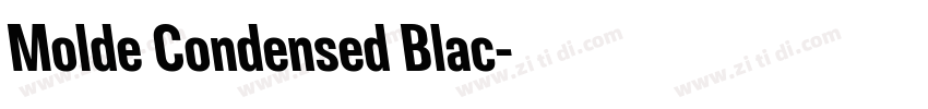 Molde Condensed Blac字体转换